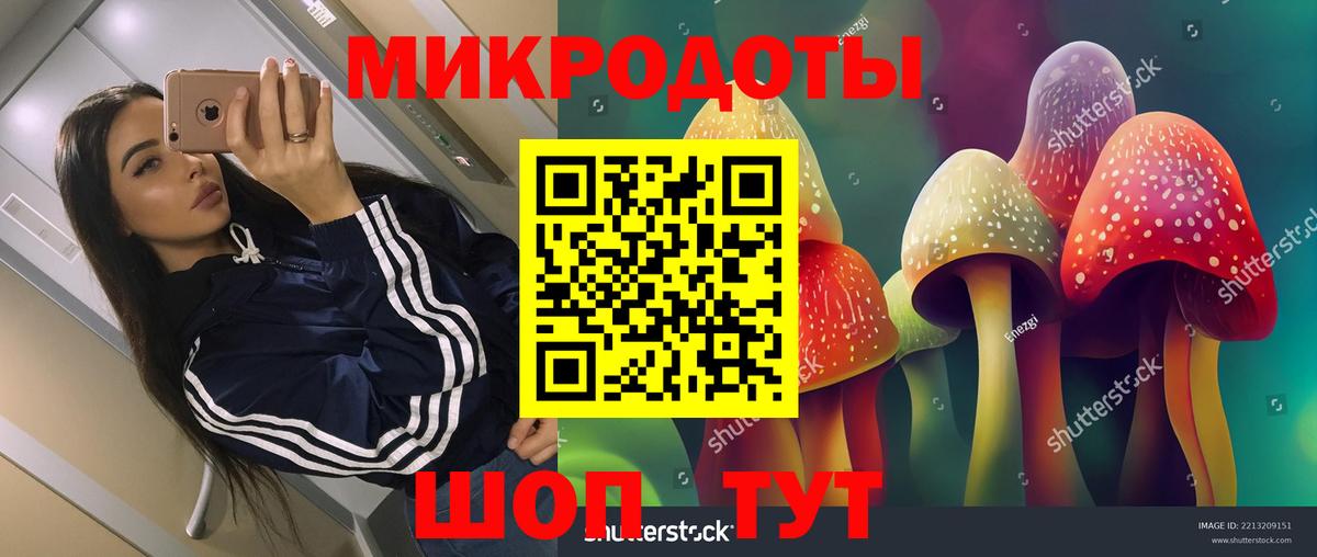 Зеленодольск  Псилоцибиновые грибы MAGIC MUSHROOMS  Вход с VPN 